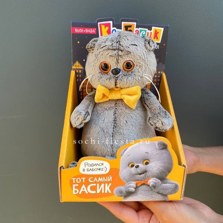 Кот Басик с бабочкой в Старом Осколе