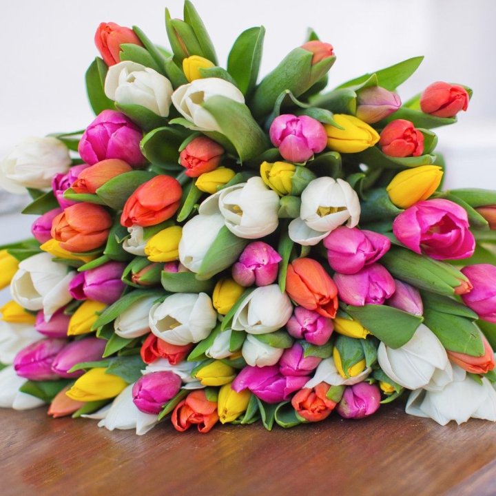 79 тюльпанов "Рандом" в Старом Осколе