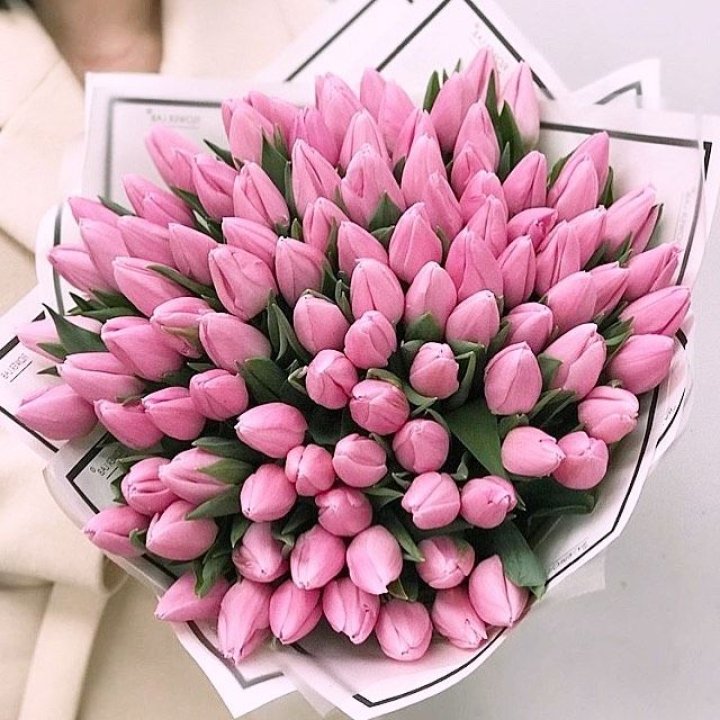 101 розовый тюльпан в белом в Старом Осколе