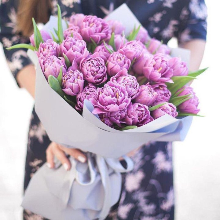 Тюльпаны "Пионс" в Старом Осколе