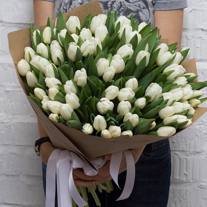 101 тюльпан сноу в Старом Осколе