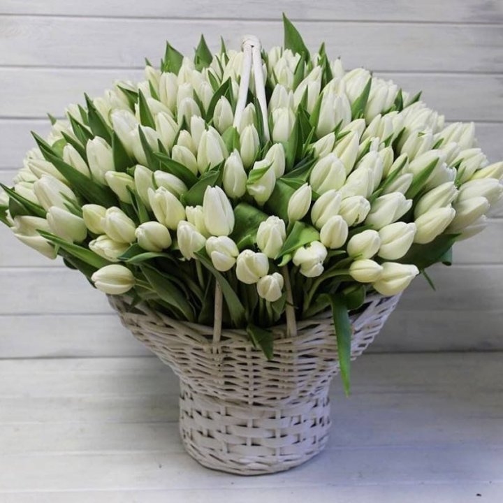 Корзина из 151 тюльпана в Старом Осколе