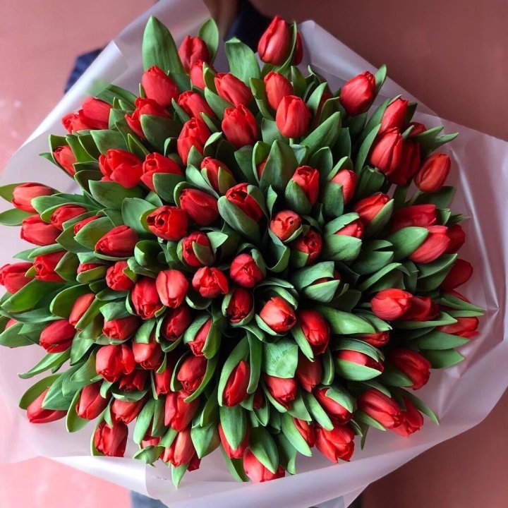 101 красный тюльпан в Старом Осколе